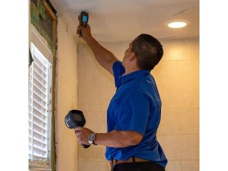 mold-removal-tampa-fl-rapid-recovery-team-tampa-small-0