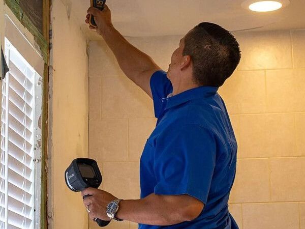 mold-removal-tampa-fl-rapid-recovery-team-tampa
