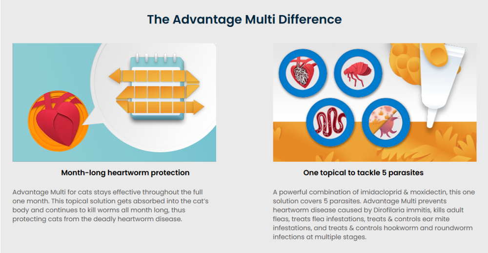 advantage-multi-for-cats-get-up-to-25-off-petcareclub-big-1