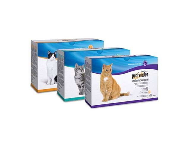 buy-profender-for-cats-online