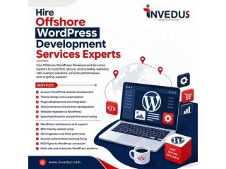 affordable-offshore-wordpress-development-services-experts-small-0