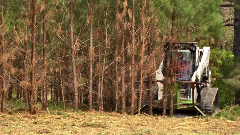 forestry-clearing-services-across-the-big-island-big-0