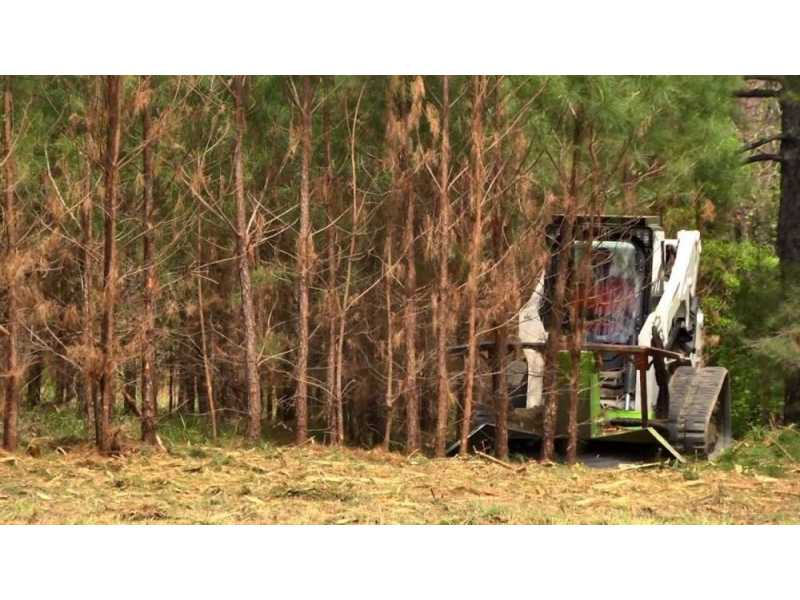 forestry-clearing-services-across-the-big-island-small-0