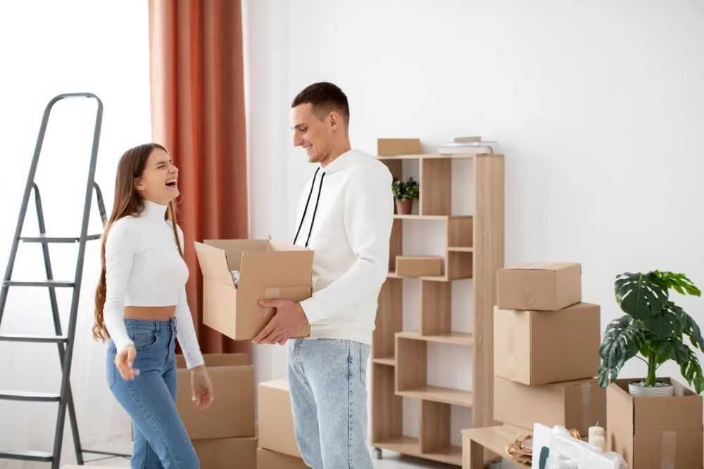 removalists-alexandria-trusted-moving-experts-by-param-movers-big-0