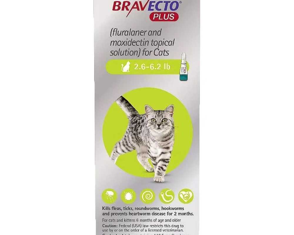 bravecto-plus-for-cats-starting-at-3265-free-shipping