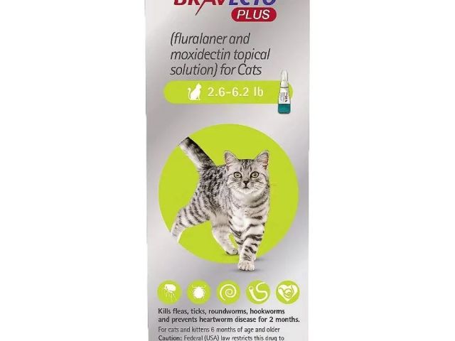 bravecto-plus-for-cats-starting-at-3265-free-shipping