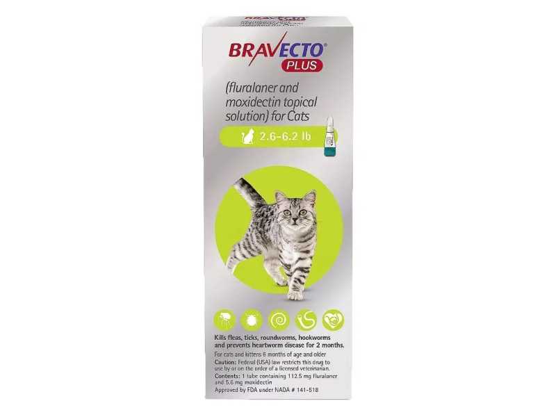 bravecto-plus-for-cats-starting-at-3265-free-shipping-small-0
