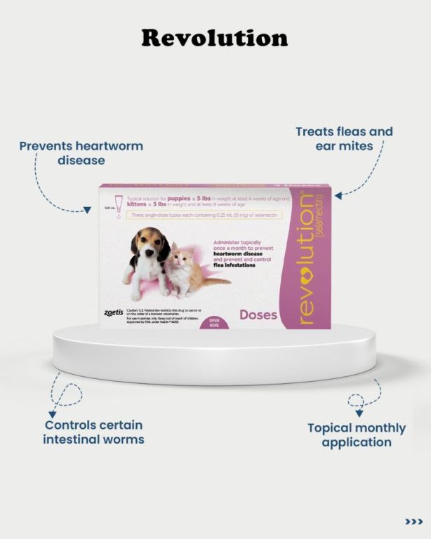 buy-revolution-for-cats-online-big-0
