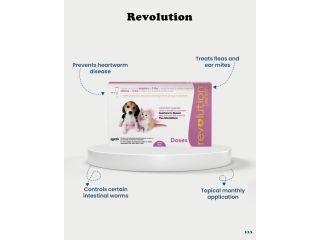 buy-revolution-for-cats-online-small-0