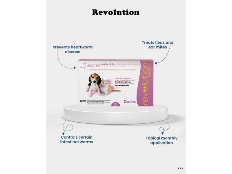 buy-revolution-for-cats-online-small-0