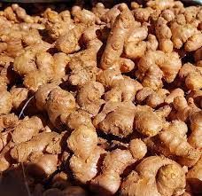 premium-ginger-exporter-delivering-quality-worldwide-big-0