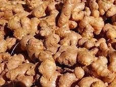 premium-ginger-exporter-delivering-quality-worldwide