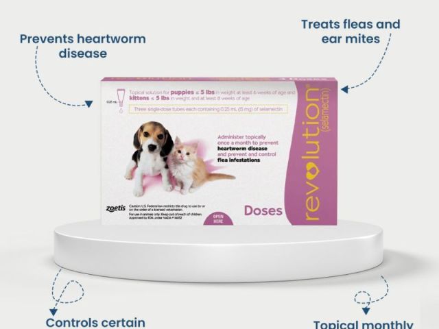 buy-revolution-for-dogs-online