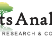 foam-market-current-impact-to-make-big-changes-by-2035
