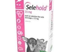 buy-selehold-generic-revolution-for-cats-online