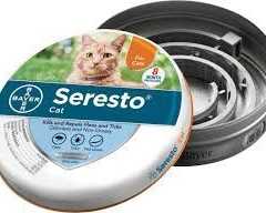 buy-seresto-flea-collar-for-cats-online