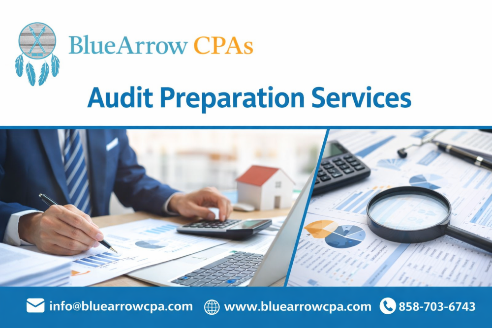 comprehensive-audit-preparation-services-for-businesses-big-0