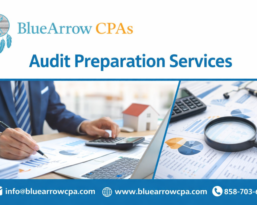 comprehensive-audit-preparation-services-for-businesses