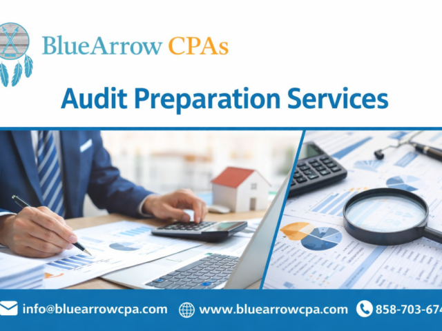 comprehensive-audit-preparation-services-for-businesses