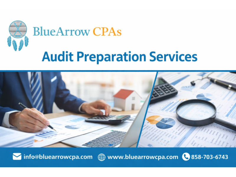 comprehensive-audit-preparation-services-for-businesses-small-0