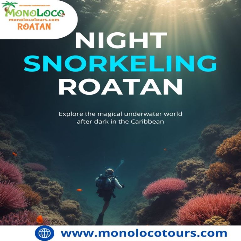 night-snorkeling-roatan-big-1