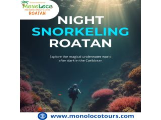 night-snorkeling-roatan-small-1