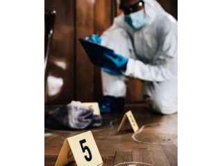 business-investigation-services-los-angeles-small-0
