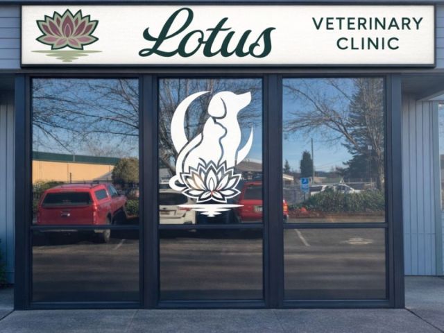 professional-window-graphics-and-vinyl-signs-in-portland