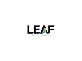 leaf-living-small-0
