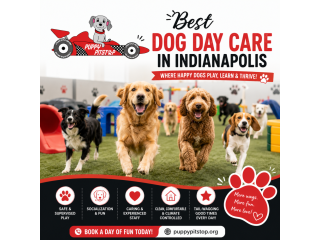 overnight-dog-care-in-indianapolis-indiana-puppy-pitstop-small-1