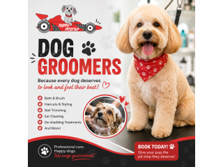 overnight-dog-care-in-indianapolis-indiana-puppy-pitstop-small-0