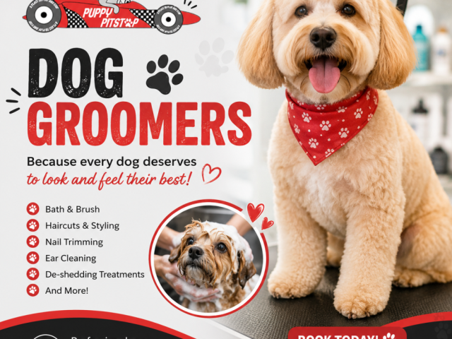 overnight-dog-care-in-indianapolis-indiana-puppy-pitstop