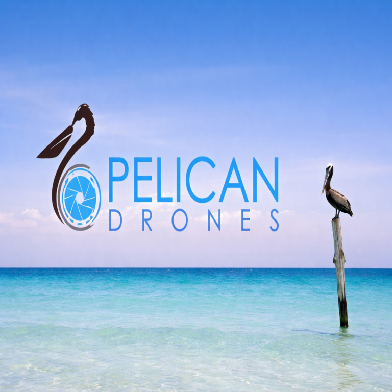 pelican-drones-big-0