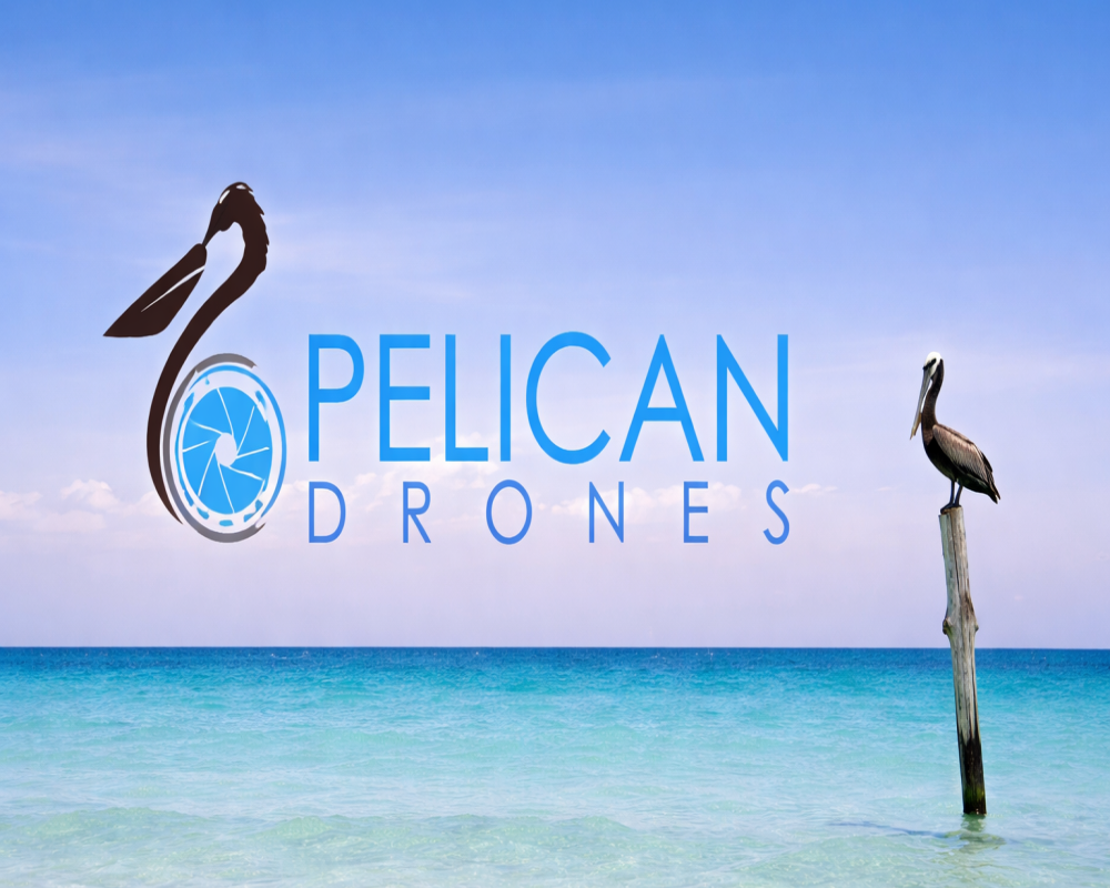 pelican-drones
