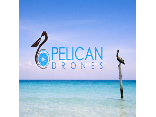 pelican-drones-small-0