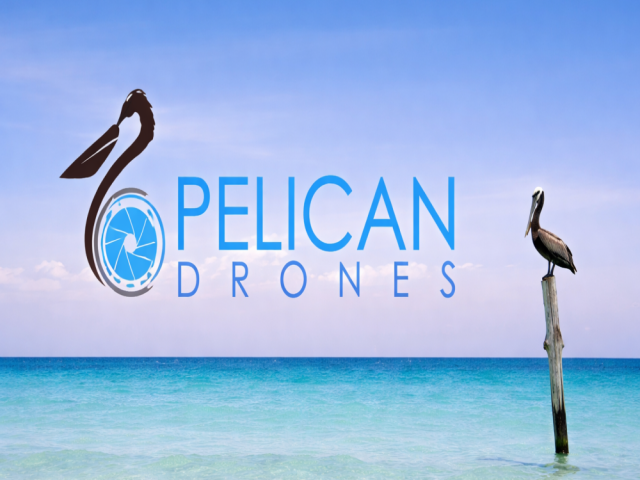 pelican-drones