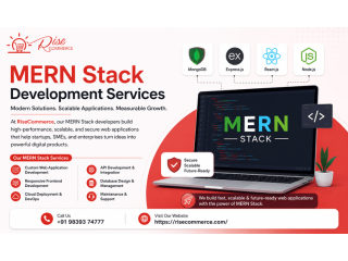 mern-stack-development-services-risecommerce-solutions-small-0