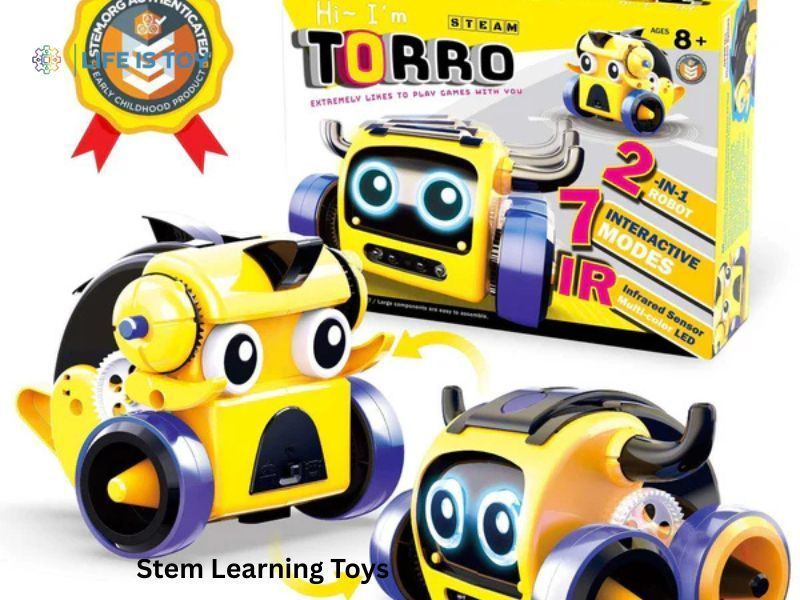 discover-creative-learning-and-fun-with-stem-learning-toys-big-0