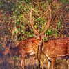 discover-by-heart-book-by-saji-kumar-a-thought-provoking-big-0