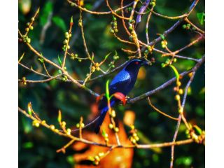 discover-by-heart-book-by-saji-kumar-a-thought-provoking-small-1