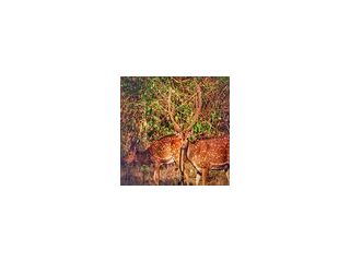 discover-by-heart-book-by-saji-kumar-a-thought-provoking-small-0