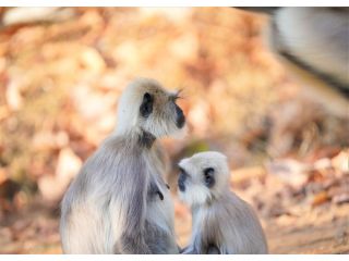 discover-by-heart-book-by-saji-kumar-a-thought-provoking-small-2