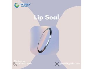 top-lip-seal-for-smooth-industrial-performance-small-0
