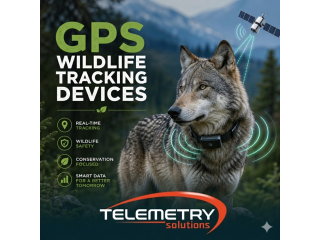 gps-wildlife-tracking-devices-that-support-wildlife-safety-small-0