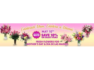 get-10-and-celebrate-mom-this-mothers-day-small-0