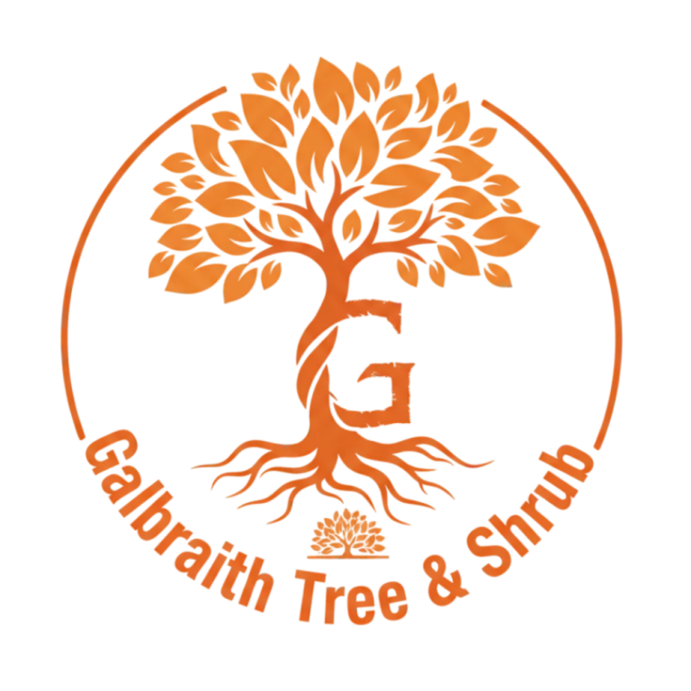 tree-removal-geneseo-safe-professional-local-experts-big-0