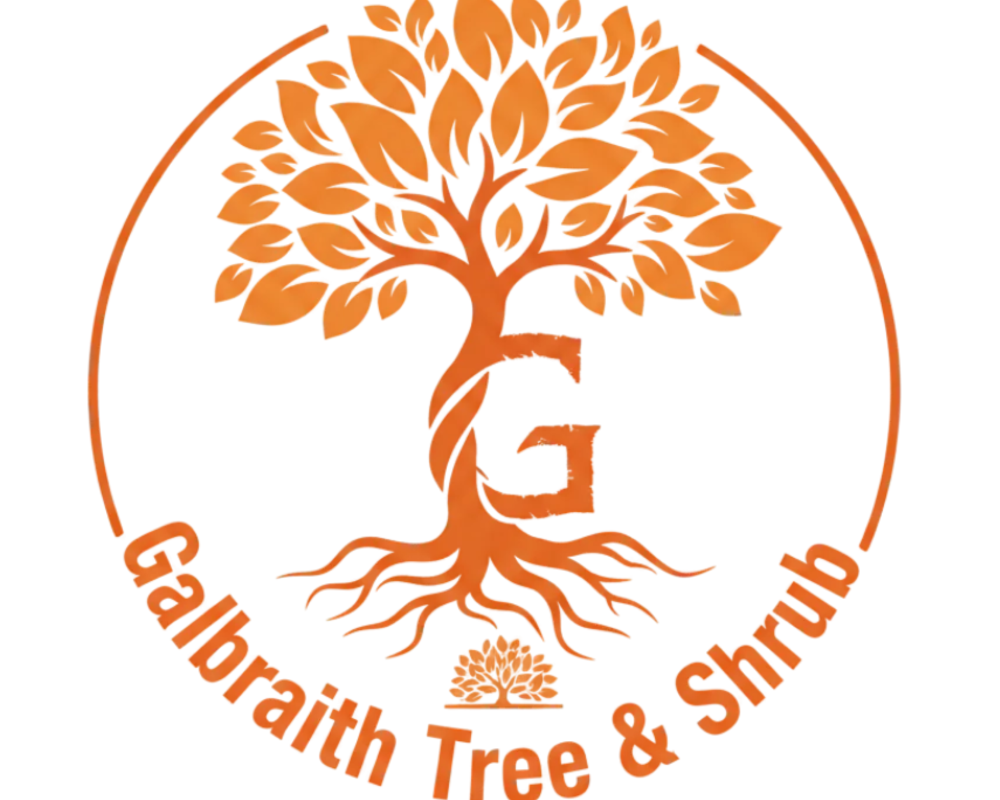 tree-removal-geneseo-safe-professional-local-experts