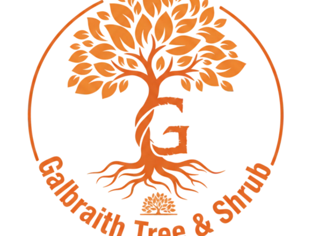 tree-removal-geneseo-safe-professional-local-experts