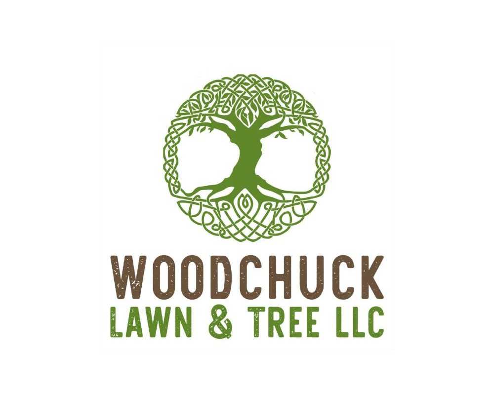immediate-tree-care-in-critical-situations