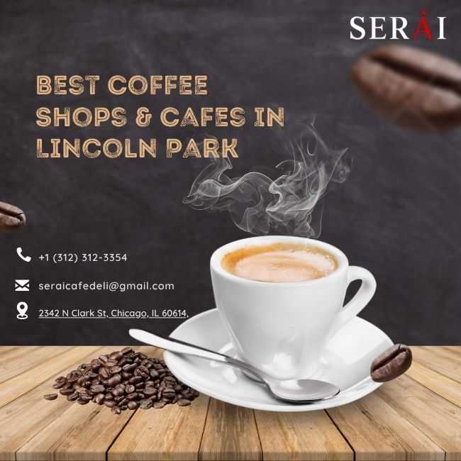 bestest-coffee-spots-in-lincoln-park-il-big-0